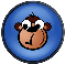 survey monkey